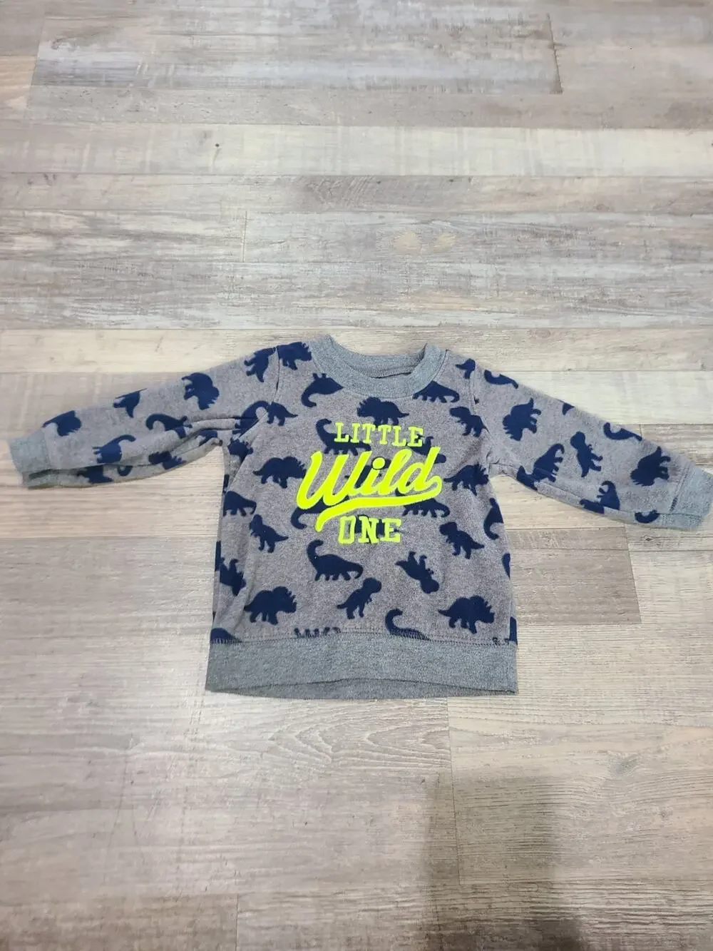 Child of mine by carters 6 to 9 months fleece dinosaur sweater